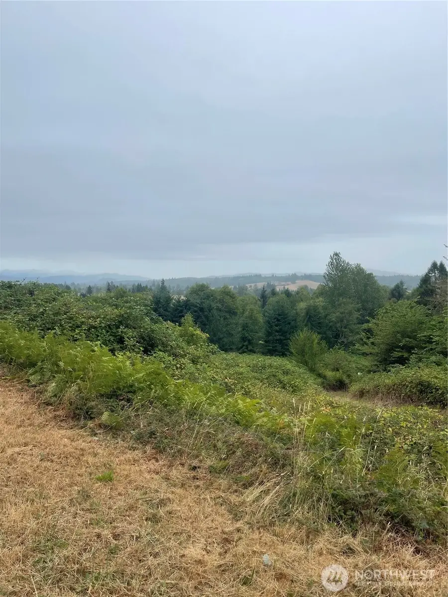 47 Alexander Road #034, Raymond, WA 98577 - Image #2