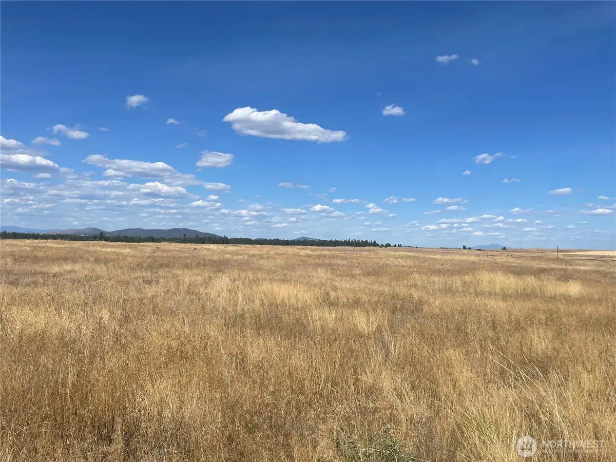 35251 Crescent Road N, Reardan, WA 99029 - #1