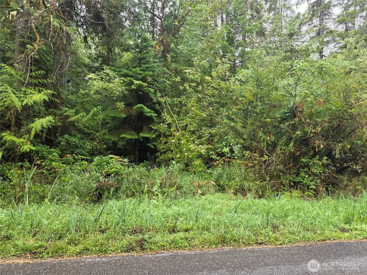 1581 E Phillips Lake Loop Road #12, Shelton, WA 98584 - Image #1