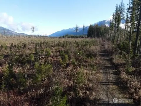 9523 Heady Road #4, Sumas, WA 98295