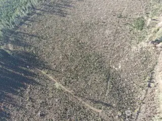 9523 Heady Road #4, Sumas, WA 98295 - Image #2