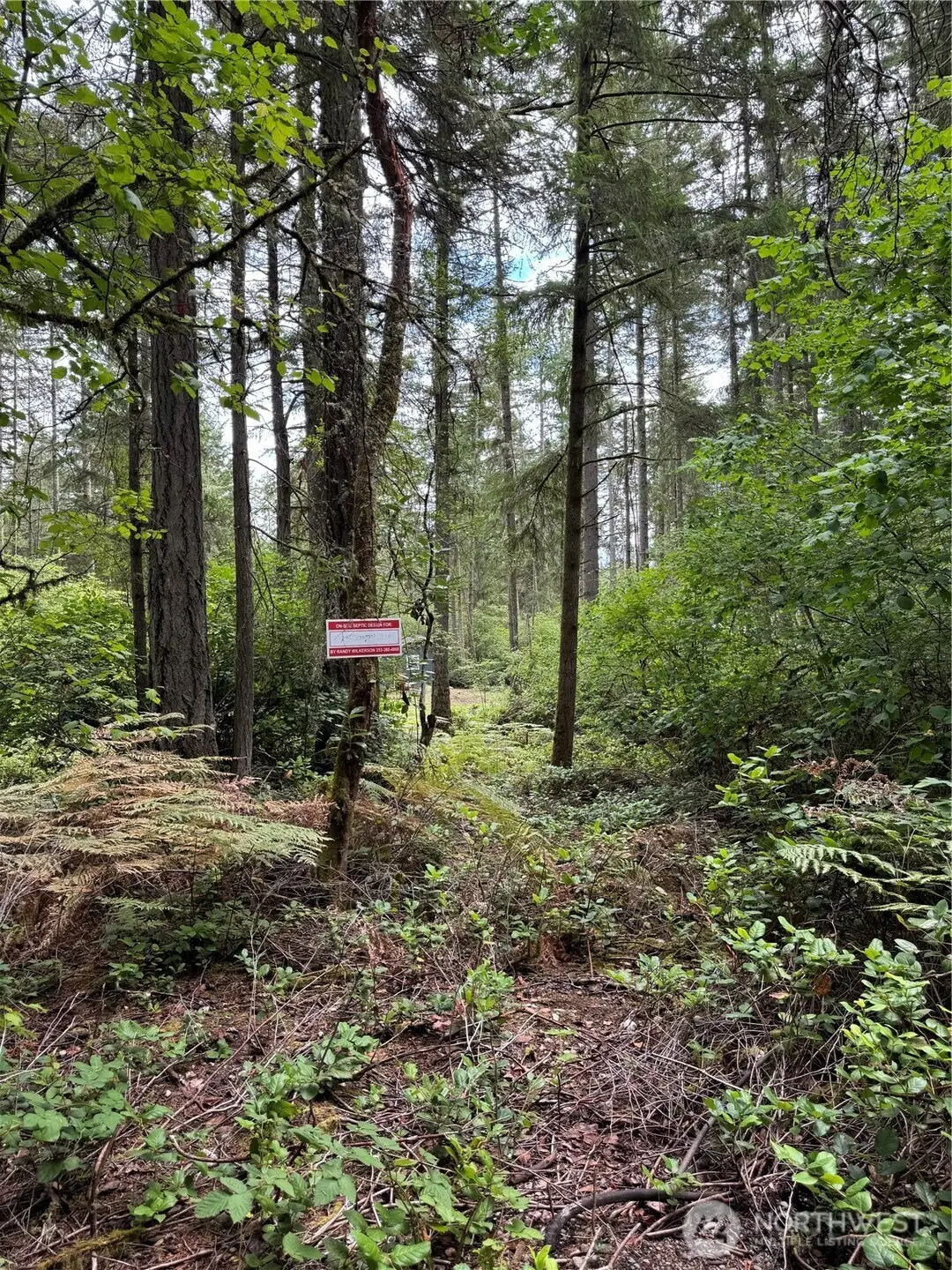 11913 Country Club Drive #45, Anderson Island, WA 98303 - Image #1