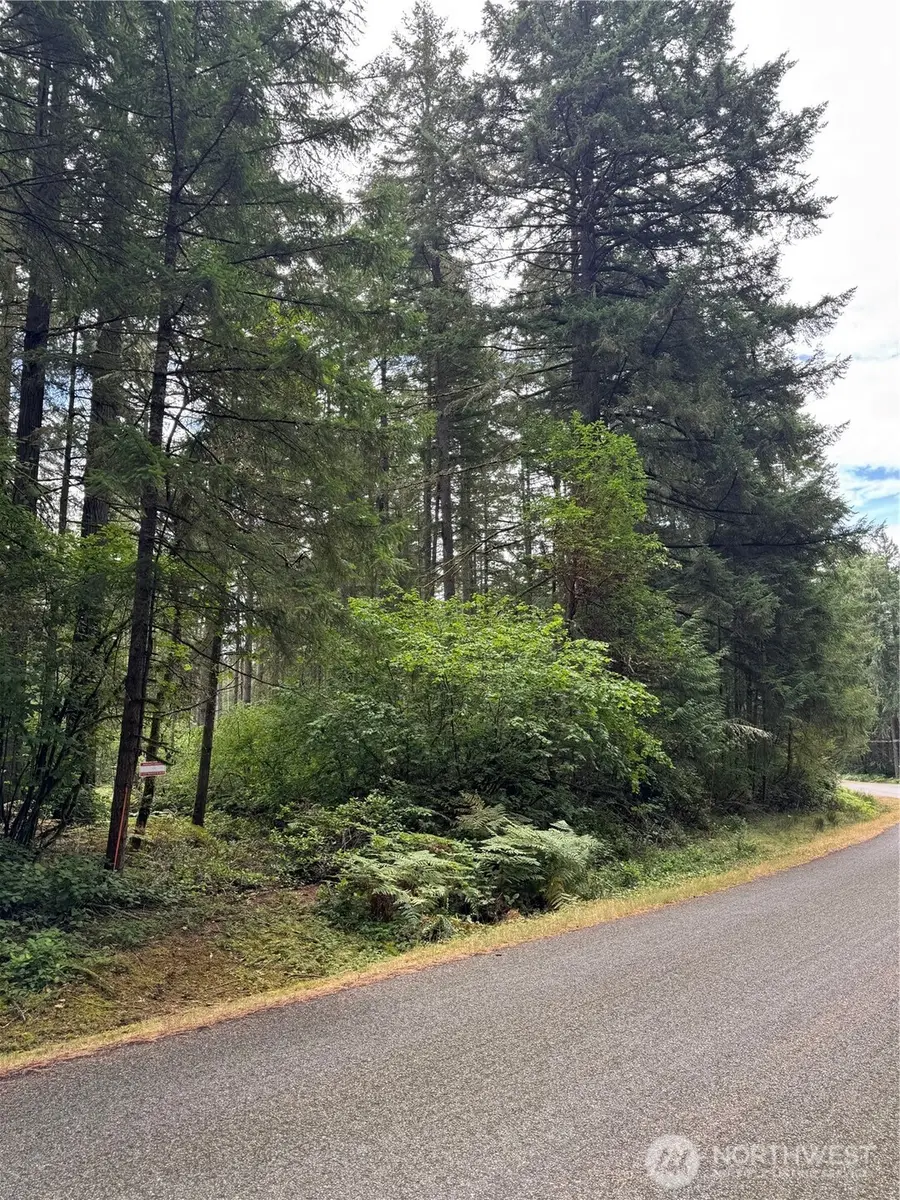 11913 Country Club Drive #45, Anderson Island, WA 98303 - Image #2