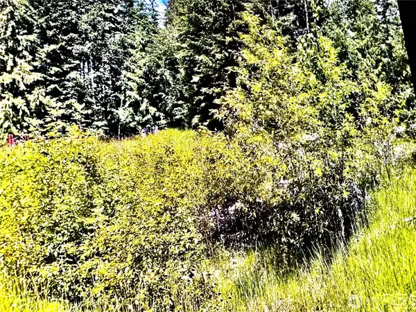 2721 158th Avenue Sw, Lakebay, WA 98340