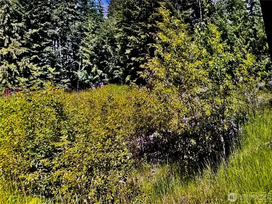 2721 158th Avenue Sw, Longbranch, WA 98340 - Image #2