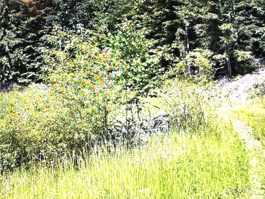 2721 158th Avenue Sw, Longbranch, WA 98340 - Image #3