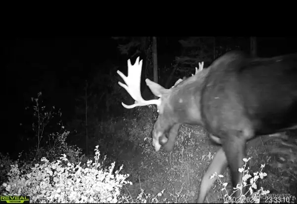 1733 Old Cc Road, Addy, WA 99101