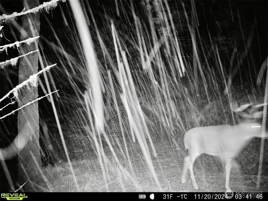 1733 Old Cc Road, Addy, WA 99101 - Image #2