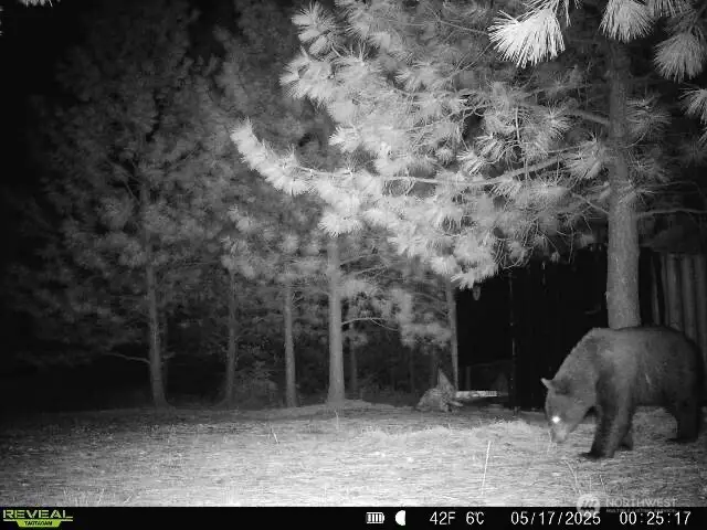 1733 Old Cc Road, Addy, WA 99101 - Image #3