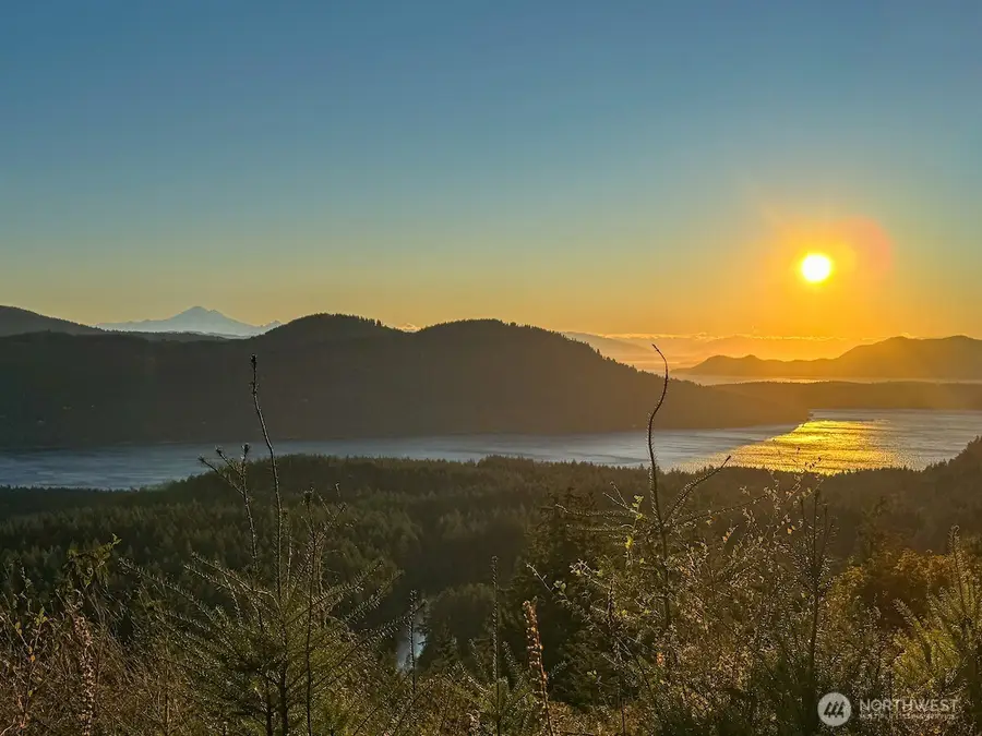 1637 Spring Hill Road #11, Eastsound, WA 98245 - Image #2