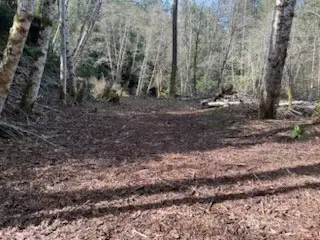 61 E Woods Place, Belfair, WA 98528 - Image #1