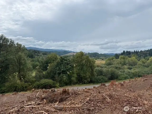 0 Garrard Creek Road, Oakville, WA 98568 - Image #3