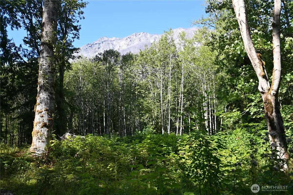 0 Sr 2, Baring, WA 98224 - Image #1