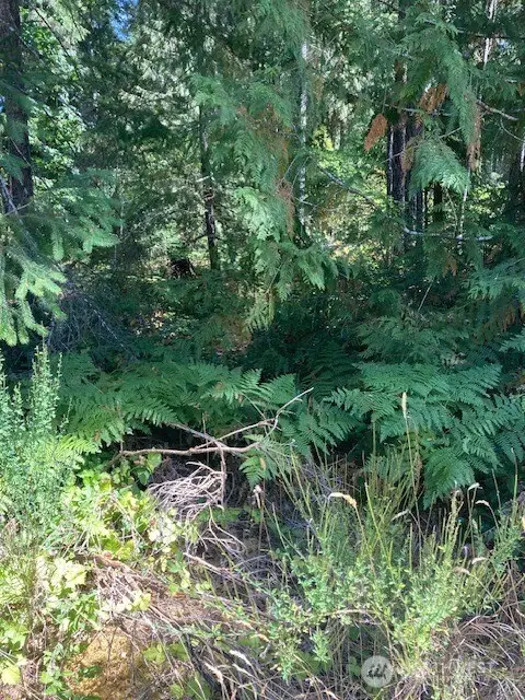 21 N Goldeneye Drive #45, Hoodsport, WA 98548