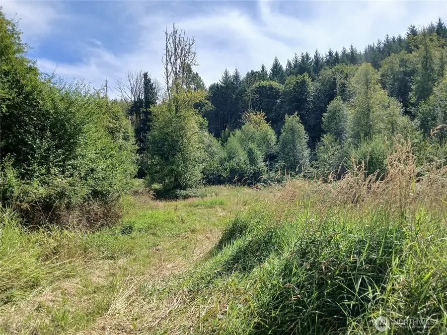 0 Boyd Road, Mossyrock, WA 98564 - Image #2