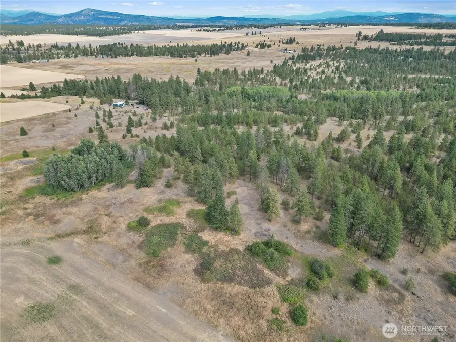 228 W Four Mound Road, Nine Mile Falls, WA 99026 - Image #2
