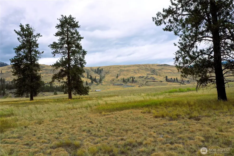 67 Watoka Way, Tonasket, WA 98855 - Image #3