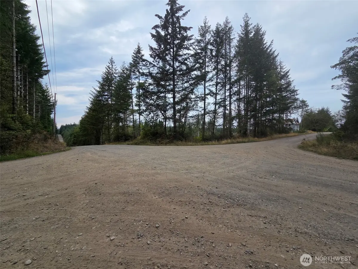 91 E Joyce Lane, Belfair, WA 98528 - Image #1