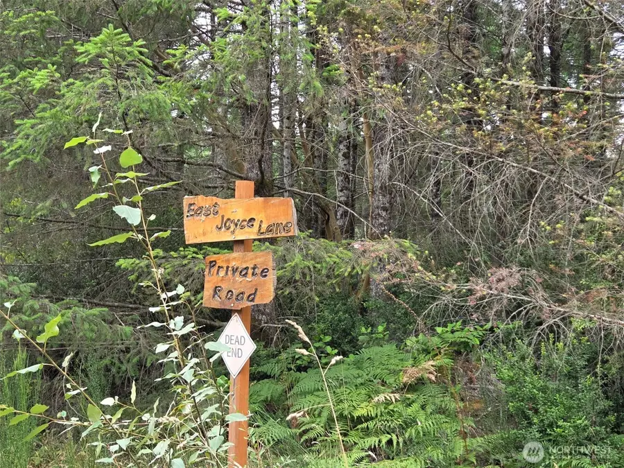 91 E Joyce Lane, Belfair, WA 98528 - Image #2