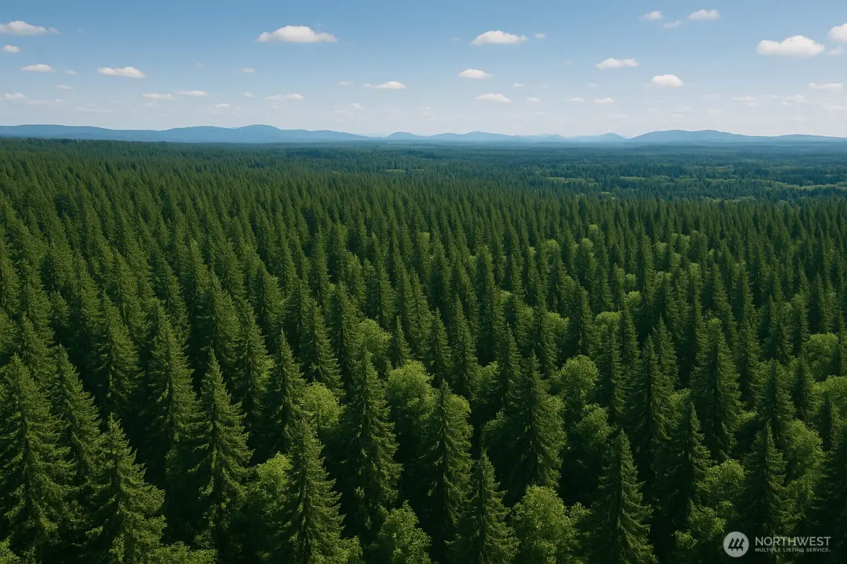 0 100th Street Ne, Lake Cassidy, WA 98258 - Image #1