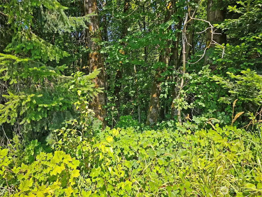 12630 183rd Avenue Sw #2, Rochester, WA 98579 - Image #2