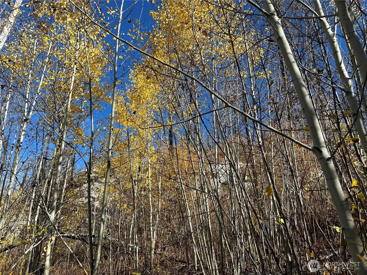 0 Tbd Evans Ranch Road, Conconully Riverside, WA 98849 - Image #1