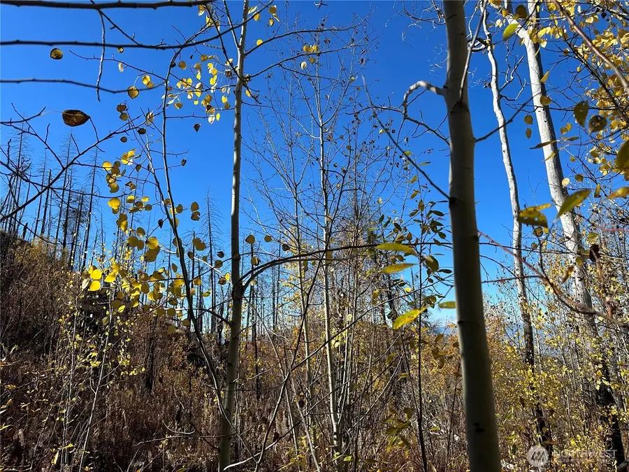 0 Tbd Evans Ranch Road, Conconully Riverside, WA 98849 - Image #2