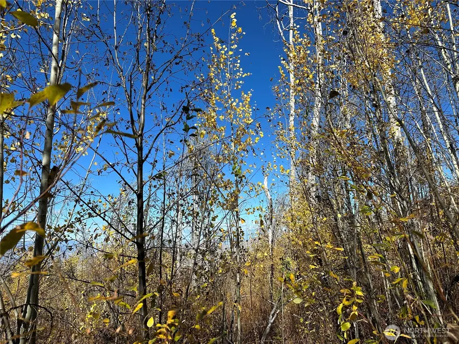 0 Tbd Evans Ranch Road, Conconully Riverside, WA 98849 - Image #3