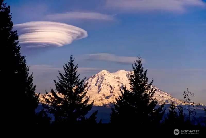 17148 Russian Hill Lane Se, Rainier, WA 98576 - Image #2