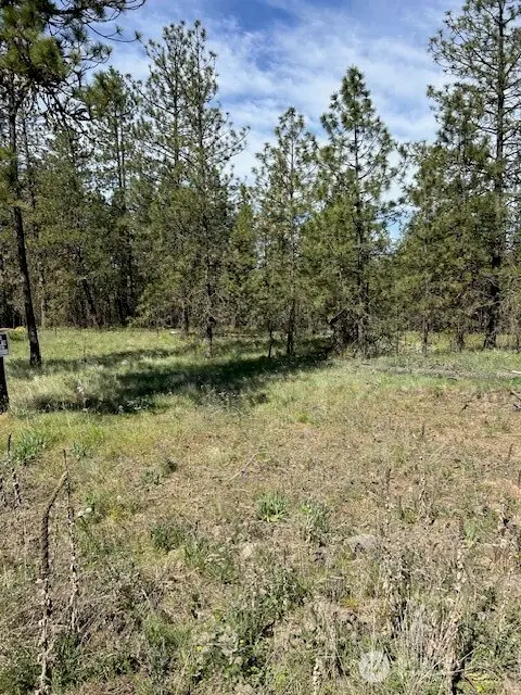 0 Rocky Ridge Road #4, Davenport, WA 99169