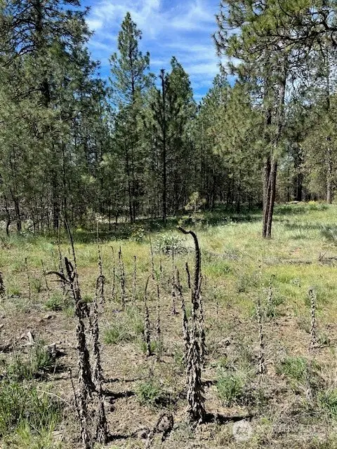 0 Rocky Ridge Road #4, Davenport, WA 99169 - Image #2