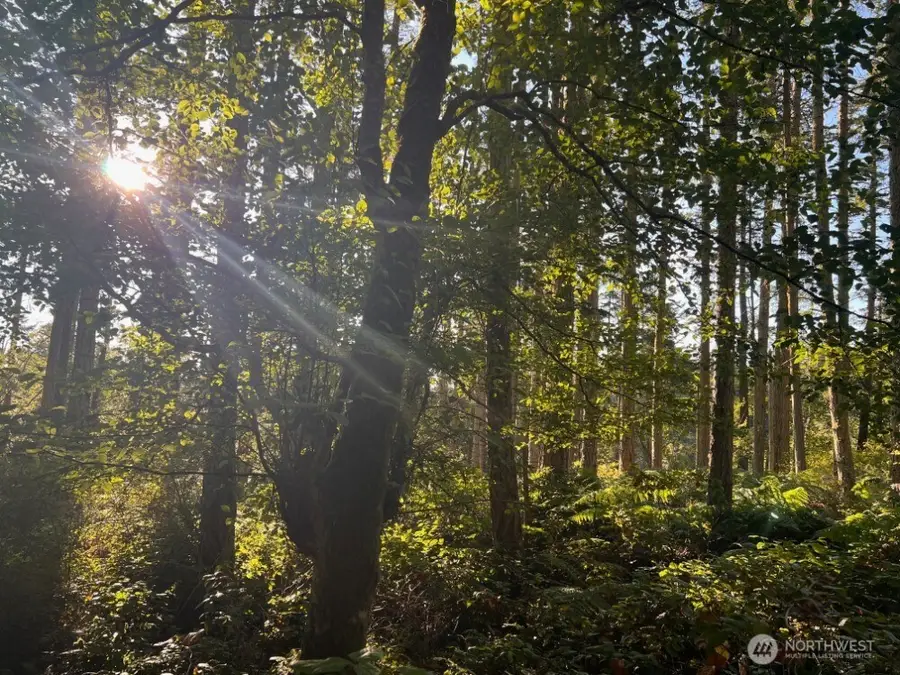 3 Pavey Boulevard #3, Lopez Island, WA 98261 - Image #2