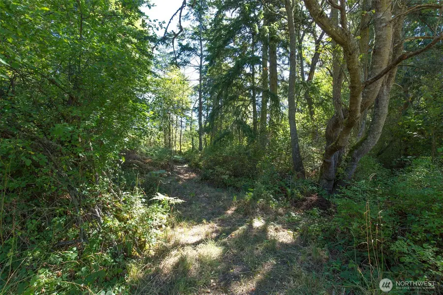 9999 Discovery Road, Port Townsend, WA 98368 - Image #2