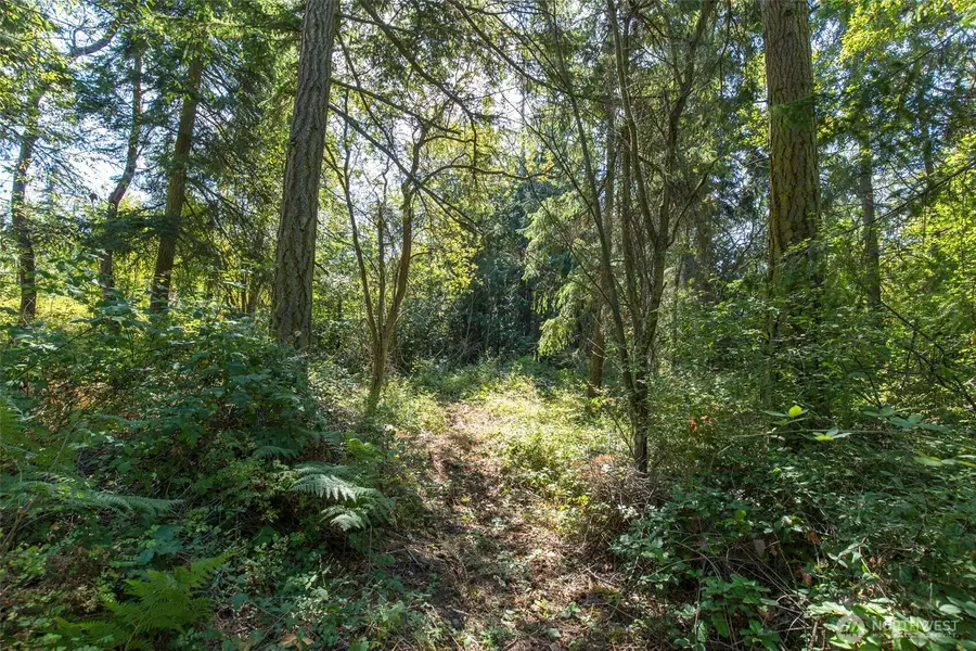 9999 Discovery Road, Port Townsend, WA 98368 - Image #3