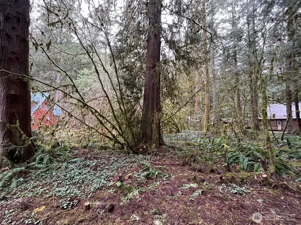 7138 Rainier Way #5, Glacier, WA 98244