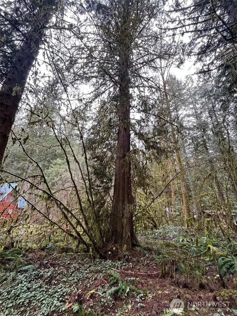 7138 Rainier Way #5, Glacier, WA 98244 - Image #3