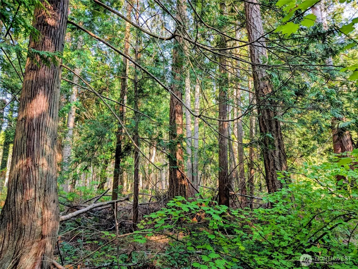 2 Mill Road, Point Roberts, WA 98281 - Image #1