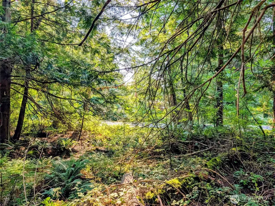 2 Mill Road, Point Roberts, WA 98281 - Image #3