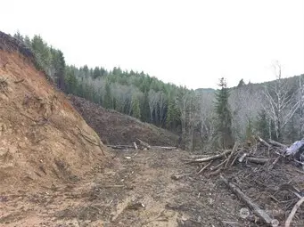 0 South Bend Palix Rd, South Bend, WA 98586 - Image #3