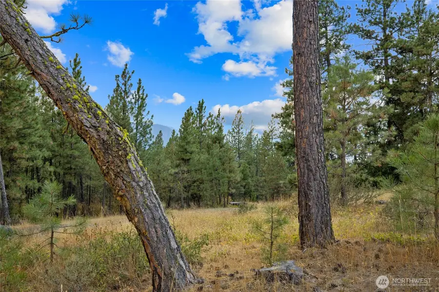 0 Owl Ridge Dr #3, Cle Elum, WA 98922 - Image #3