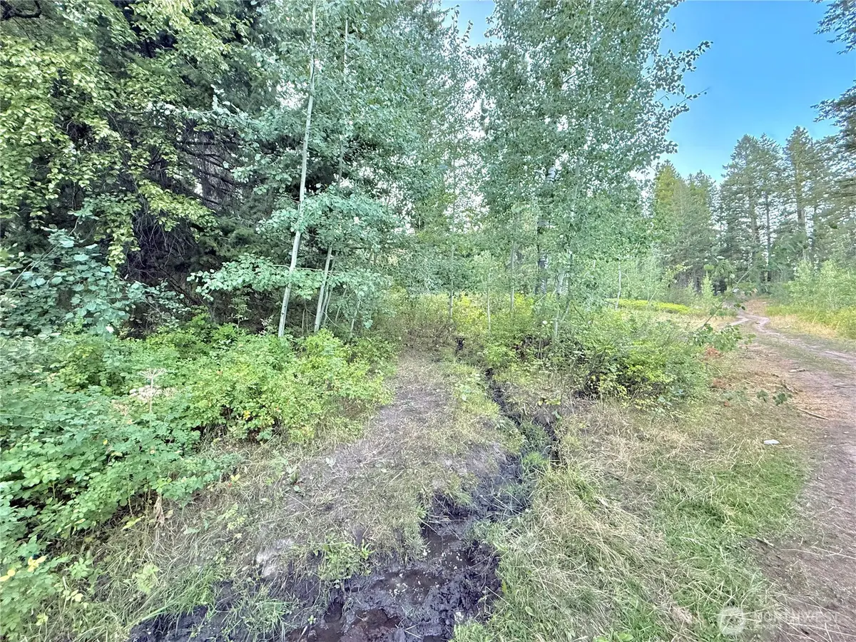 0 Tbd Buzzard Lake Road, Okanogan, WA 98840 - Image #1