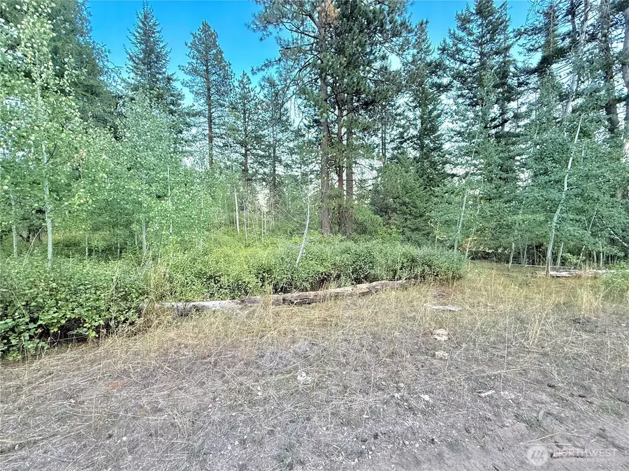 0 Tbd Buzzard Lake Road, Okanogan, WA 98840 - Image #2