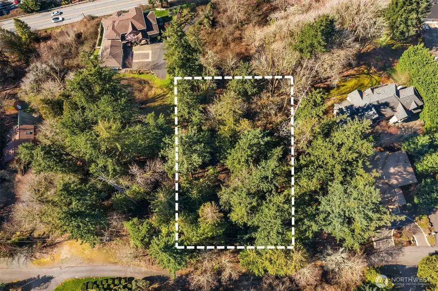 11 205th Avenue Ne, Sammamish, WA 98075 - Image #3