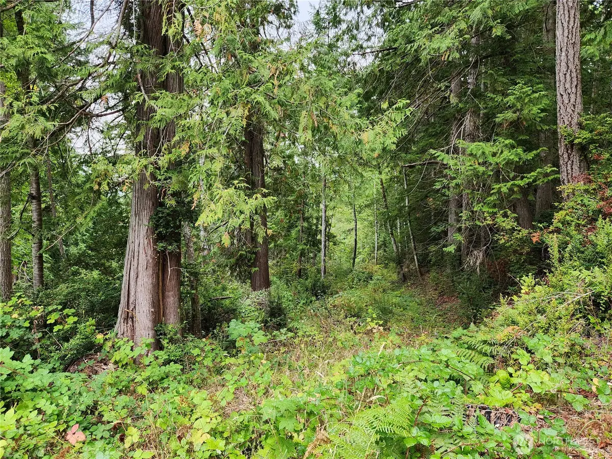 0 Yashi Road, Brinnon, WA 98320 - Image #1