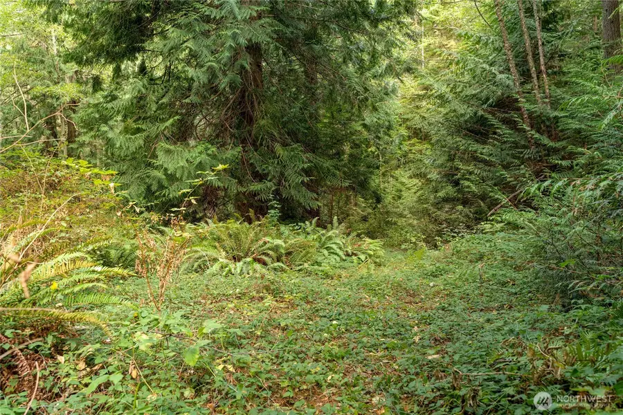 4105 Tartan Way, Clinton, WA 98236 - Image #3