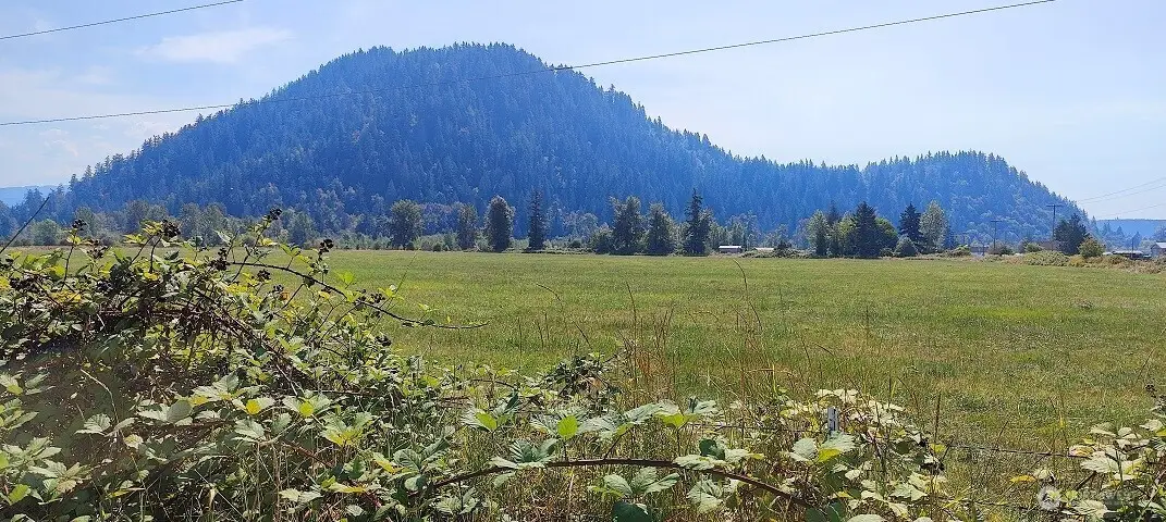 46502 268th Avenue Se, Enumclaw, WA 98022 - Image #1