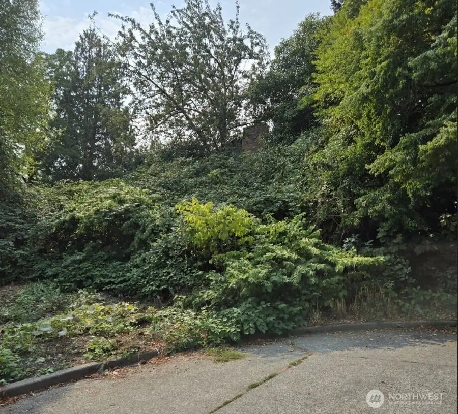 4819 Myrtle Street, Seattle, WA 98118 - Image #2