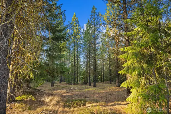 131 Gold Leaf Lane #3-16-20, Cle Elum, WA 98922