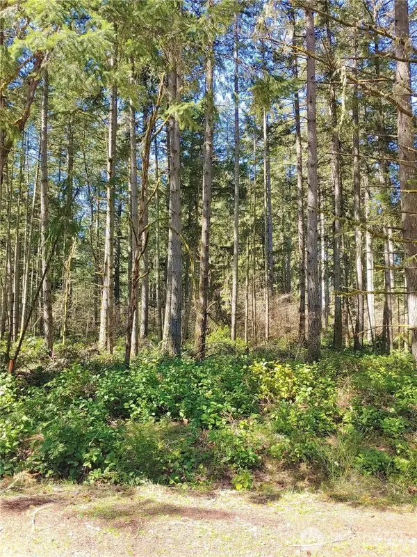 11813 Country Club Drive #55, Anderson Island, WA 98303