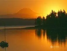 11813 Country Club Drive #55, Anderson Island, WA 98303 - Image #2